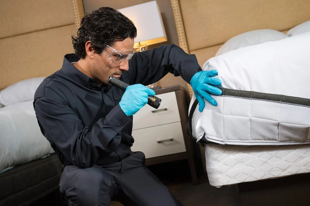 How Hotels Can Use IoT for Pest Monitoring Effectively