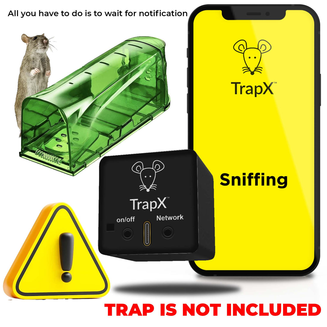 what is the best thing to put on a mouse trap