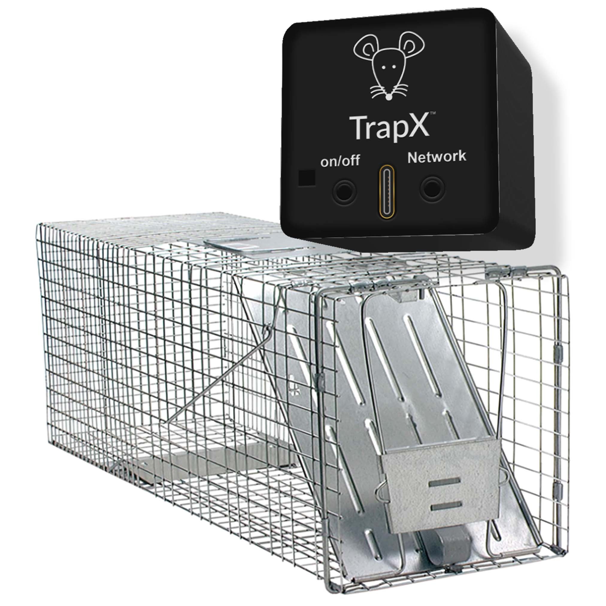 Catch and Release Mouse Traps: A Humane Solution for Rodent Control