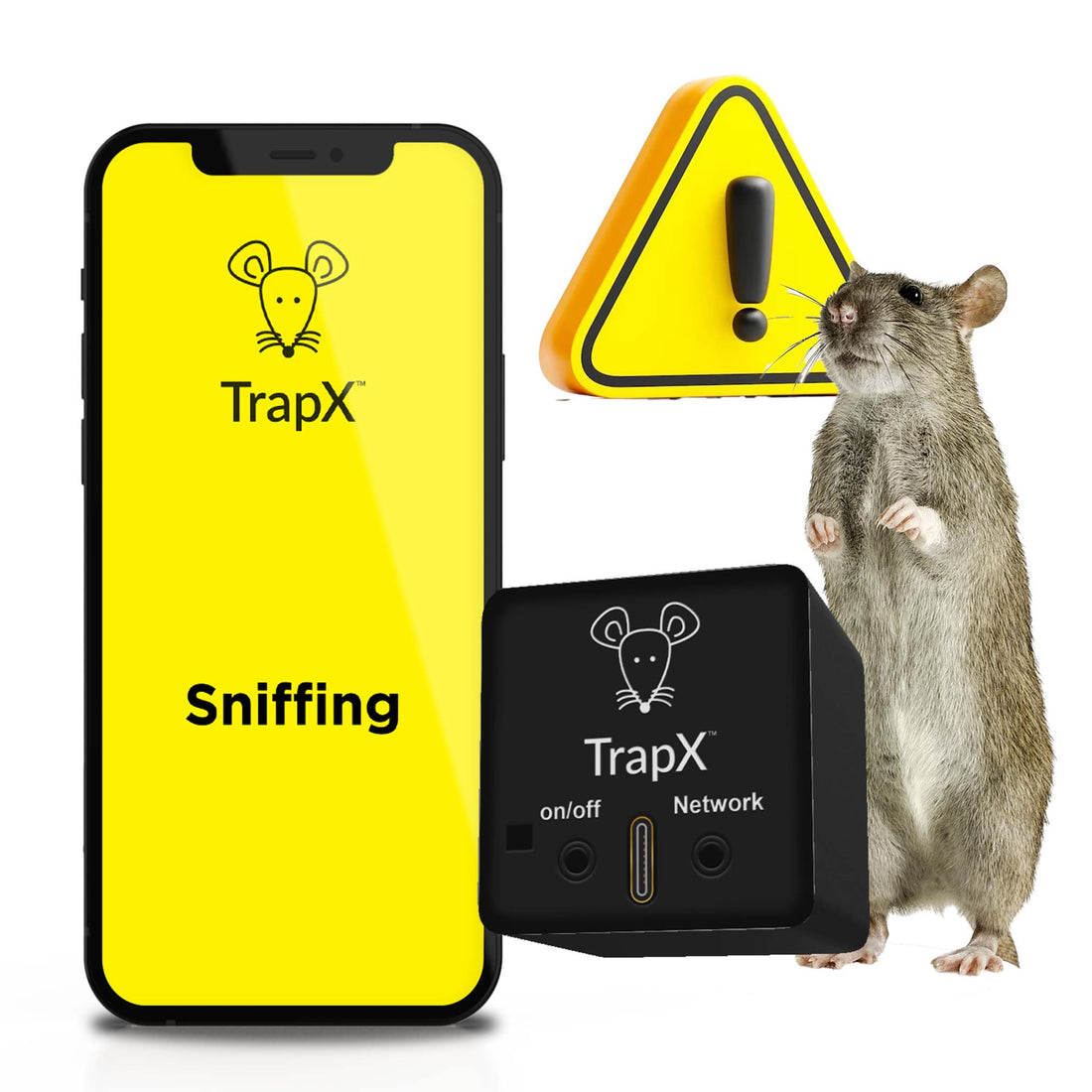 What are the benefits of using sticky mouse traps indoors?