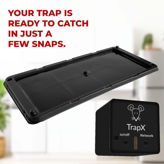 TrapX AI/ML-Powered Mice Trap Attachment with Sticky Bait - Fits All Traps