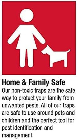 Image of Pantry Pest & Moth Traps 6-Pk, Bug Killer for Kitchen Storage, Sticky Moth Traps, Protect Pet Food & Pantry Storage, Pet Safe Glue Traps