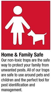 Pantry Pest & Moth Traps 6-Pk, Bug Killer for Kitchen Storage, Sticky Moth Traps, Protect Pet Food & Pantry Storage, Pet Safe Glue Traps