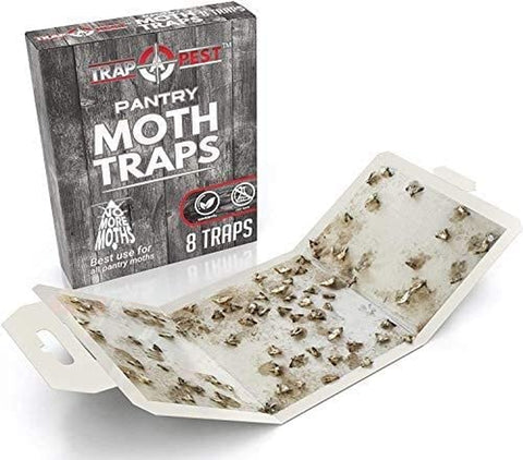 Image of 8 Pack Pantry Moth Traps- Safe and Effective for Food and Cupboard- Glue Traps with Pheromones for Pantry Moths