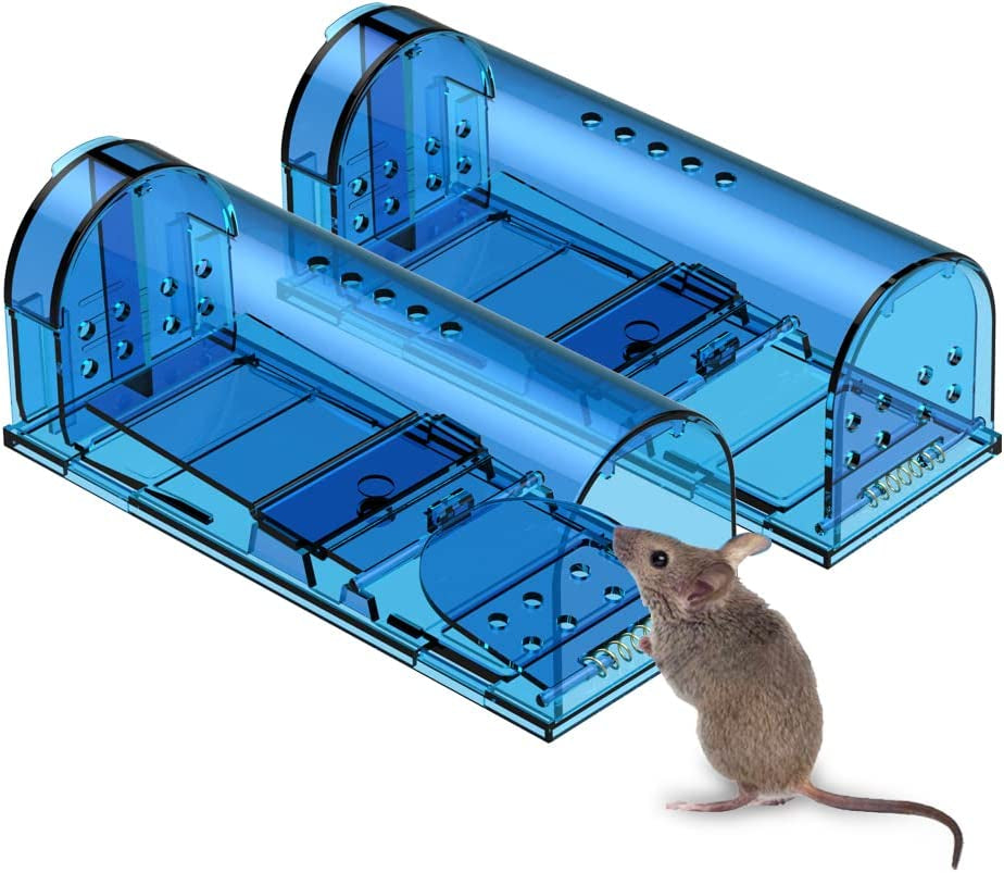 mouse caught in trap not dead