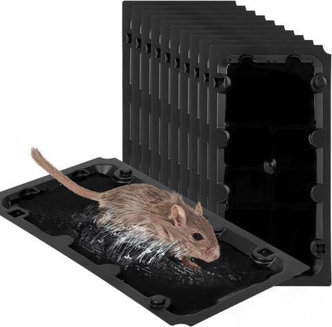 Image of 10 Pack Sticky Mouse Trap Rat Traps Indoor, Peanut Taste Pheromone Mouse Traps Indoor for Home, Glue Sticky Traps for Mice and Rats, Snake(Large Size)