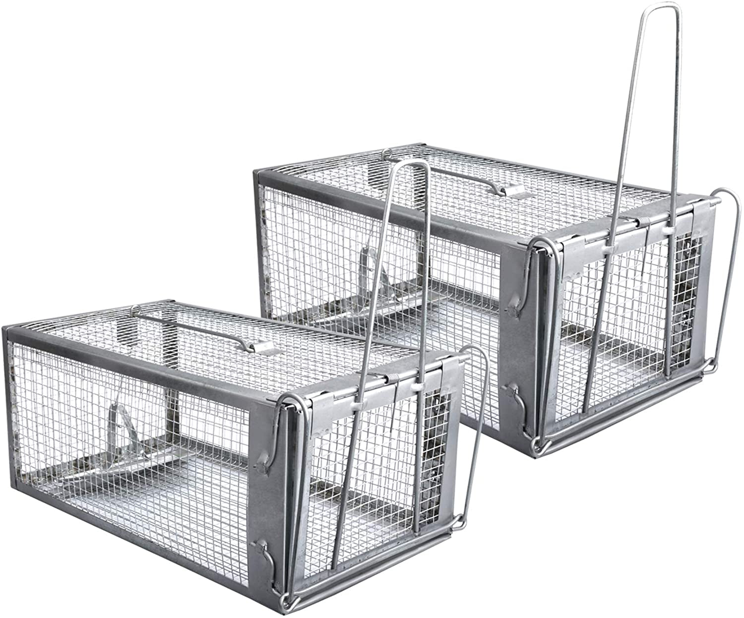 Are there mouse traps specifically designed for small rats?