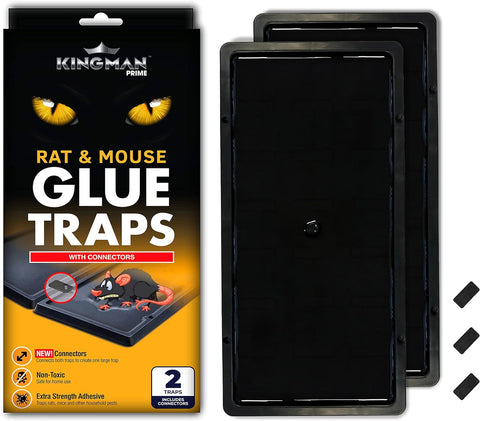 Image of Rat Mouse Rodent Pest Glue Trap (Large Size) Tray Heavy Duty (5 Pack/ 10 Traps) with Connectors