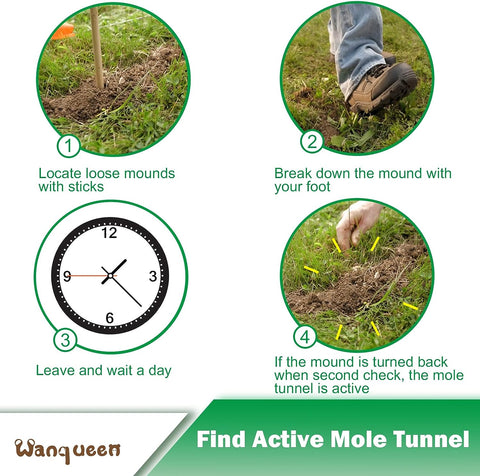 Image of Mole Traps That Kill Best, Scissor Mole Traps for Lawns Vole Traps Outdoor Use, Mole Trap Easy to Set Galvanized Steel Reusable Quick Capture Gopher