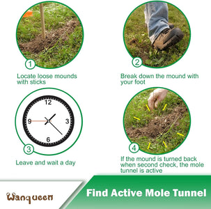 Mole Traps That Kill Best, Scissor Mole Traps for Lawns Vole Traps Outdoor Use, Mole Trap Easy to Set Galvanized Steel Reusable Quick Capture Gopher