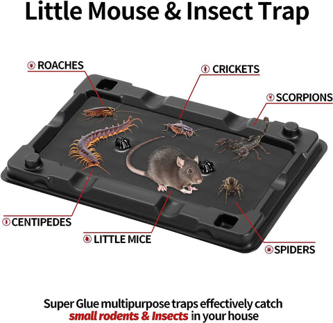 Image of Mouse & Insect Traps 12 Pack, Heavier Sticky Traps with Non-Toxic Glue for Small Mice & Insects. Sticky Mouse Traps Indoor, Easy to Set, Safe to Children & Pets