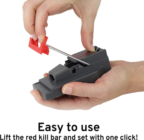 Image of M123SSR Quick-Kill Easy Set Mouse Trap - 6 Reusable Mouse Traps