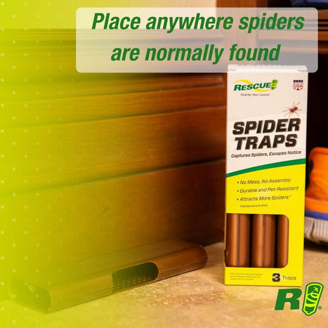 Image of Spider Traps – Catches Brown Recluse, Hobo Spiders, Black Widows & Wolf Spiders - 4 Pack (12 Traps)