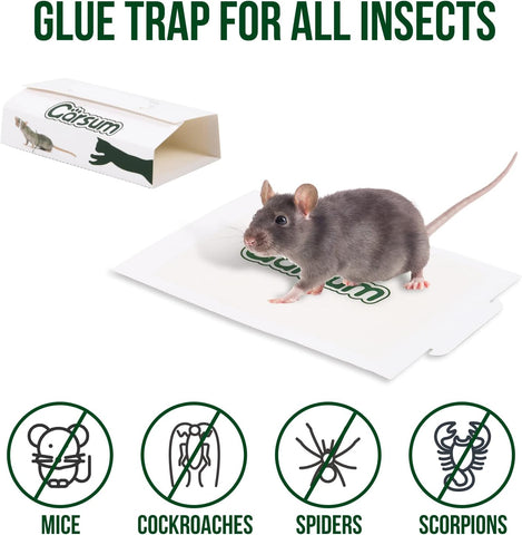 Image of Sticky Mouse Trap, Peanut Butter Scent Glue Traps, Heavy Duty Pest Board Insect Spider Mice, Extra Strength Trampas Para Ratones Indoor for Home, 10/20/40/80 Packs