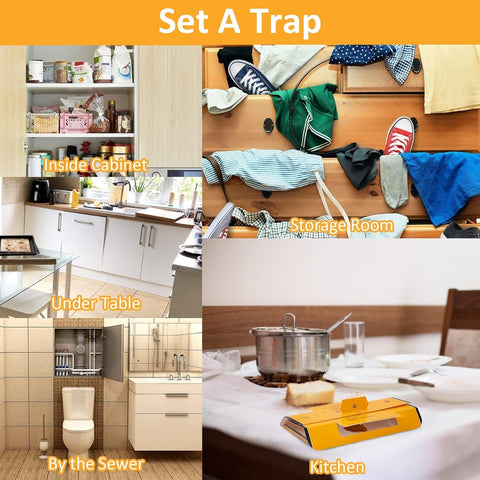 Image of 12 Pack Roach Traps Roach Killer Indoor Infestation, Cockroach Killer Indoor Home Bug Glue Trap Sticky Traps for Insects