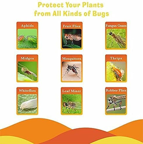 Image of 30 Pack Sticky, Fruit Fly and Fungus Gnat Killer Indoor and Outdoor Protect the Plant,Non-Toxic and Odorless, a Variety of Shapes, Trap-A5