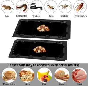 10 Pack Sticky Mouse Trap Rat Traps Indoor, Peanut Taste Pheromone Mouse Traps Indoor for Home, Glue Sticky Traps for Mice and Rats, Snake(Large Size)